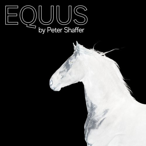 Equus-Poster-Early-Auditions.jpg